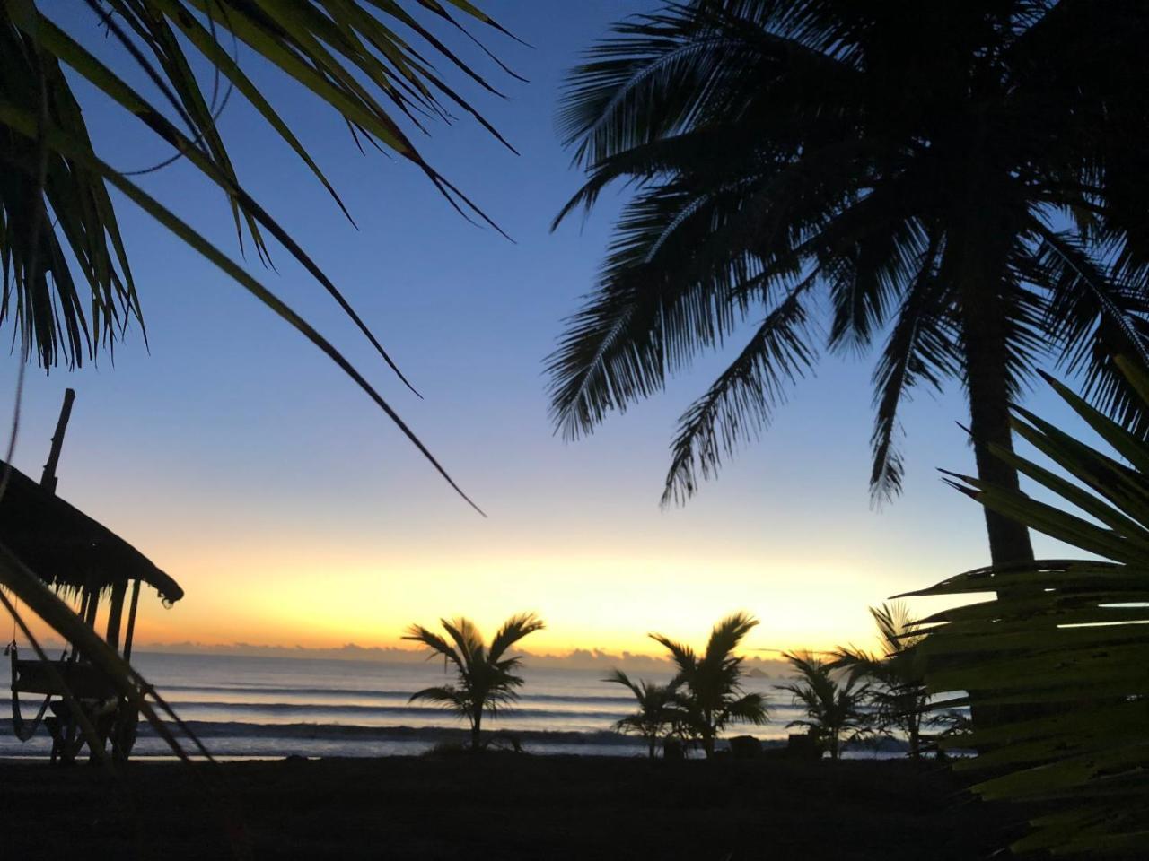 North Shore Surf Camp Hotel Baler Ngoại thất bức ảnh