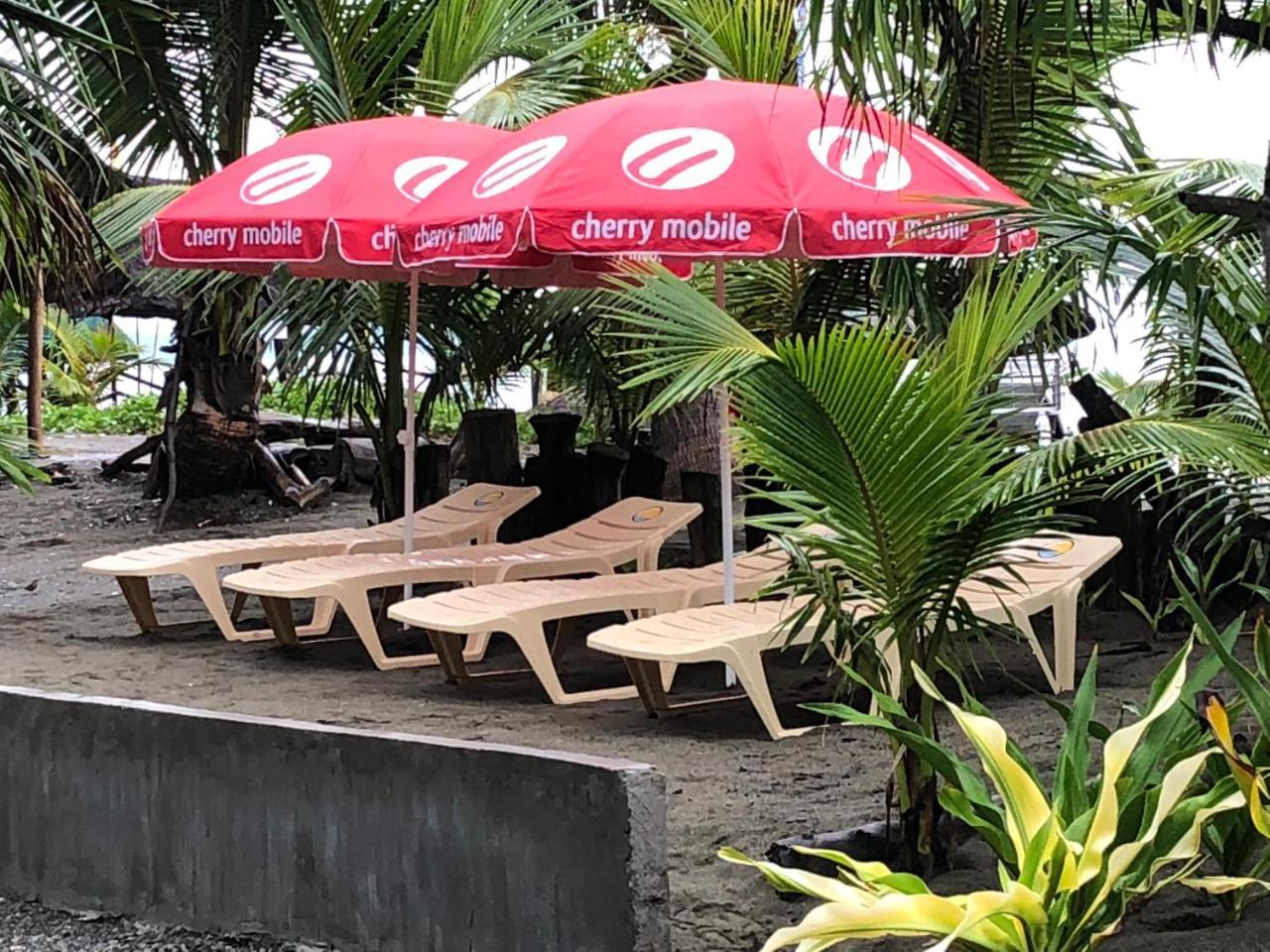 North Shore Surf Camp Hotel Baler Ngoại thất bức ảnh